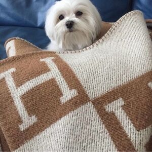 H Throw Blanket | 4colors